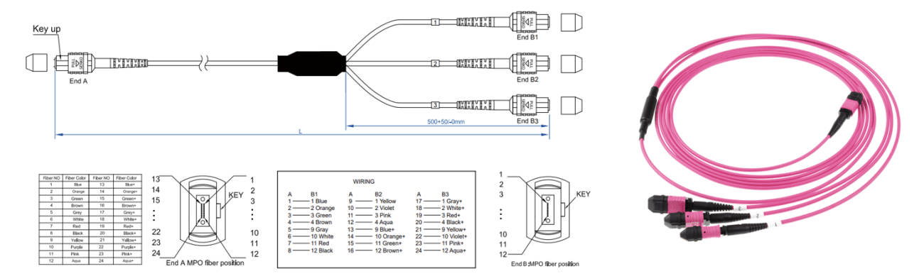 24 Fiber MPO 8Fibers 3xMPO OM4 Mini 30mm Fiber Patch Cable 24 Fiber MPO 8Fibers 3xMPO OM4 Mini 30mm Fiber Patch Cable