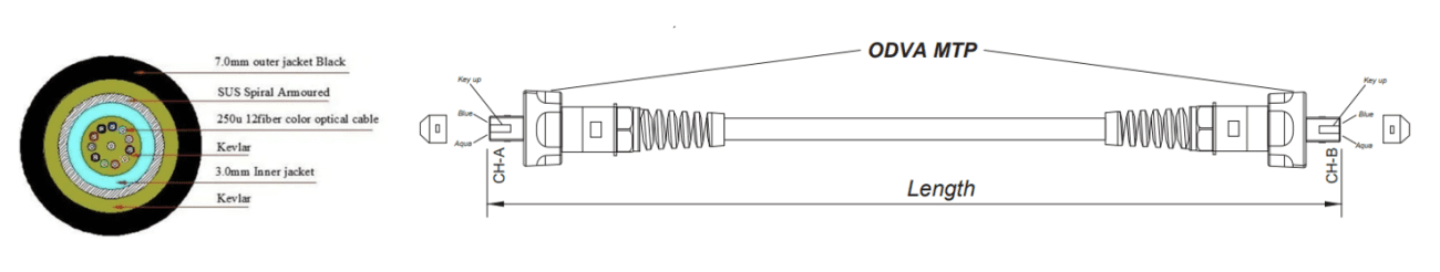 IP67 Armoured 24 Fibers ODVA MPOMTP φ70mm Waterproof Fiber Patch Cord