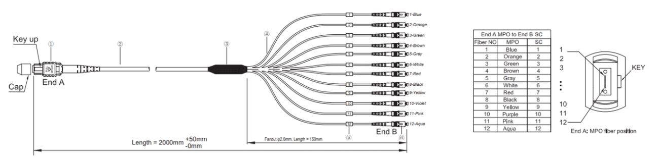 MPOMTP to SC APC Simplex Single Mode 12 Fibers Breakout Fiber Optic Cable
