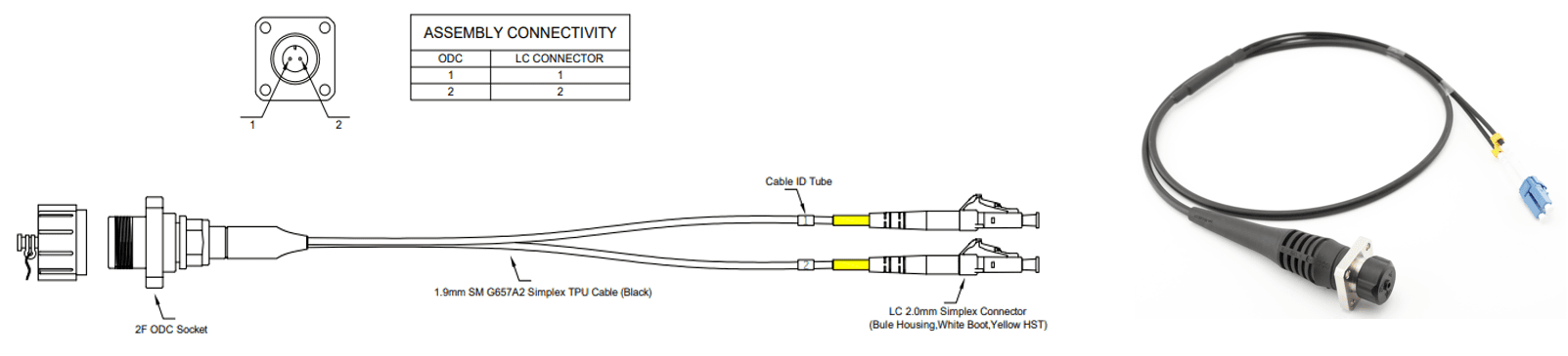 Patchcord 2 Cores ODC Socket to LC Single Mode Fanout φ20mm TPU